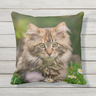 Coussin D'extérieur Cute Maine Coon Kitten Fleurs de chats - pour l'ex