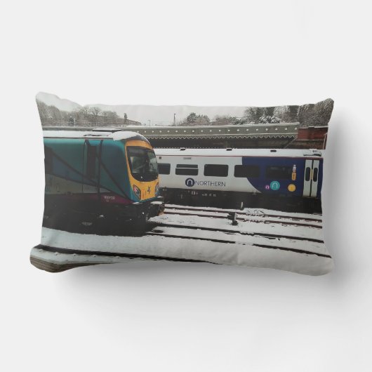 Coussin D'extérieur Deux trains, dans la neige (Recto)