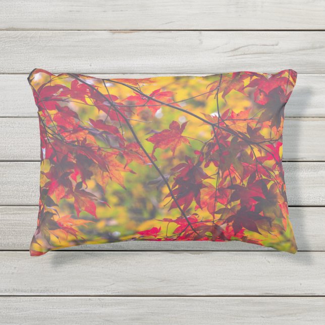 Coussin D'extérieur Feuilles d'automne Feuilles de automne Rouge (Devant)