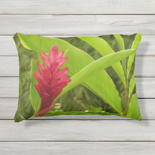 Coussin D'extérieur Fleur de gingembre rouge (Alpinia) tropicale