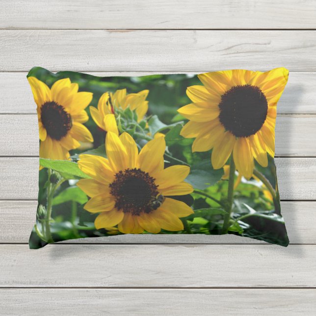 Coussin D'extérieur Fleurs de soleil (Devant)