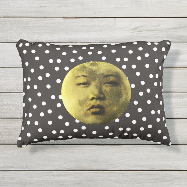Coussin D'extérieur Kim Jong Moon Drôle (Devant)