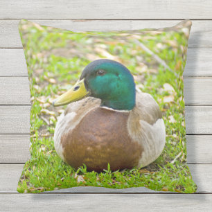Coussin D'extérieur M. Mallard le Canard