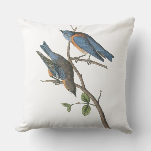Coussin D'extérieur Oiseau bleu occidental par Audubon (Recto)