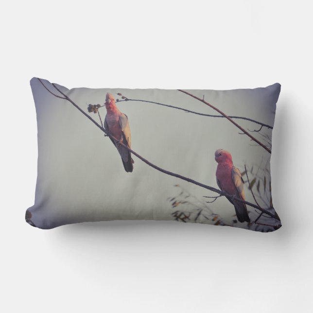 Coussin D'extérieur Oiseaux de Galah dans l'arbre 3 (Recto)