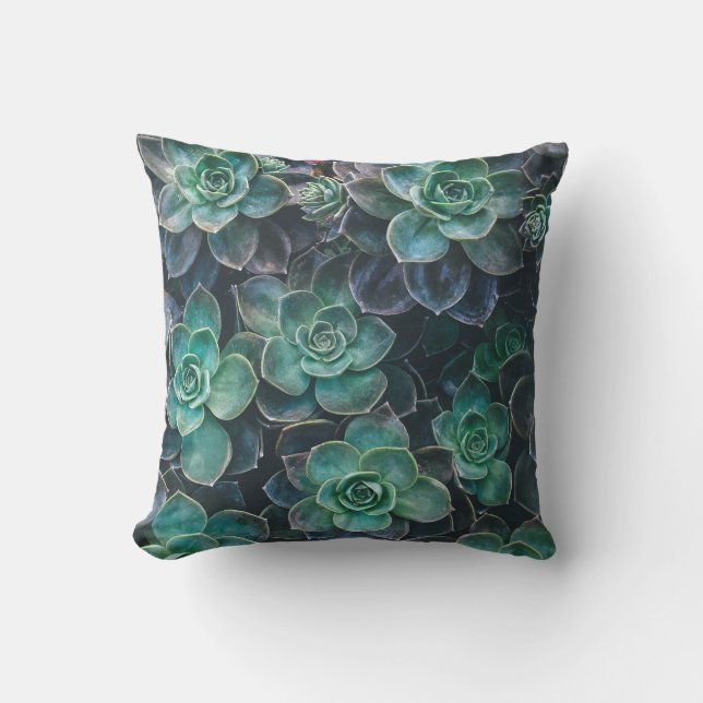 Coussin D'extérieur Plantes succulents vert-bleu (Recto)
