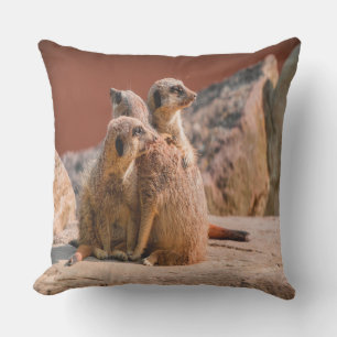 Coussin D'extérieur Qu'est-ce que Meerkats