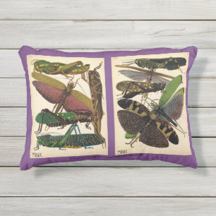 Coussin D'extérieur "SE Seguy-Insect Mode"