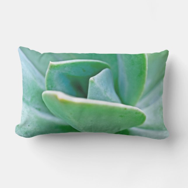 Coussin D'extérieur Swirl Succulent (Recto)