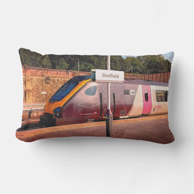 Coussin D'extérieur Train Maroon (Recto)