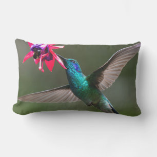 Coussin D'extérieur Un colibri à gorge violette inférieur