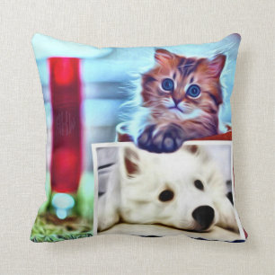 Coussin Différences distinctes