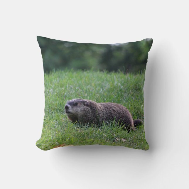 Coussin Digger de trou du diable (Recto)