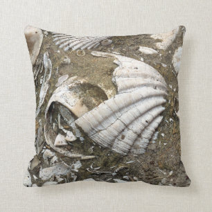 Coussin d'images fossiles réelles