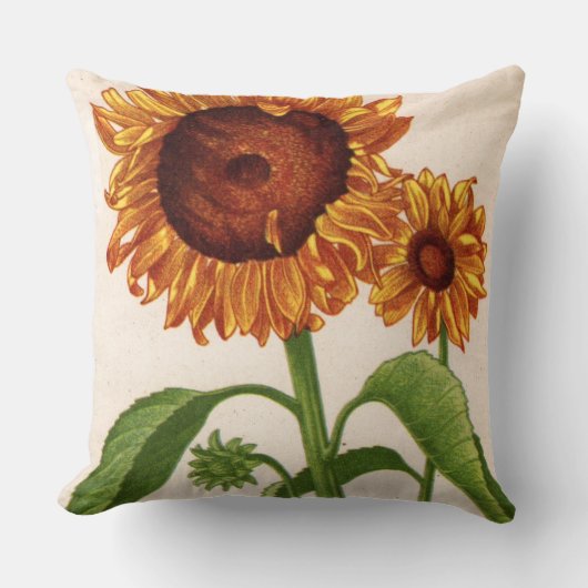 coussin d'impression de tournesol (Recto)