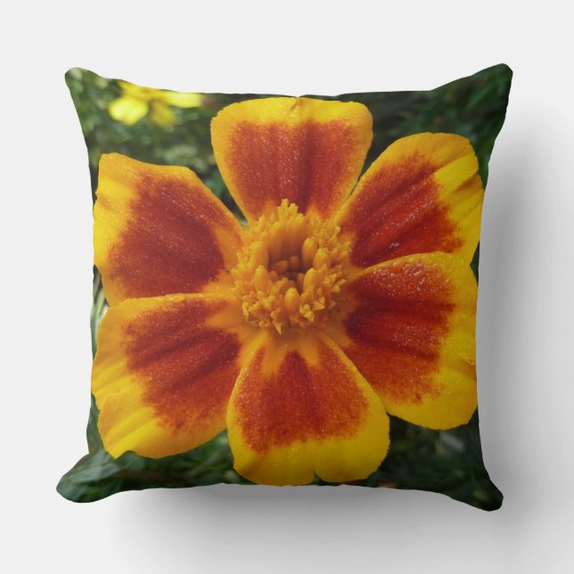 Coussin Disco Marigold Orange et Rouge Fleur d'été (Recto)