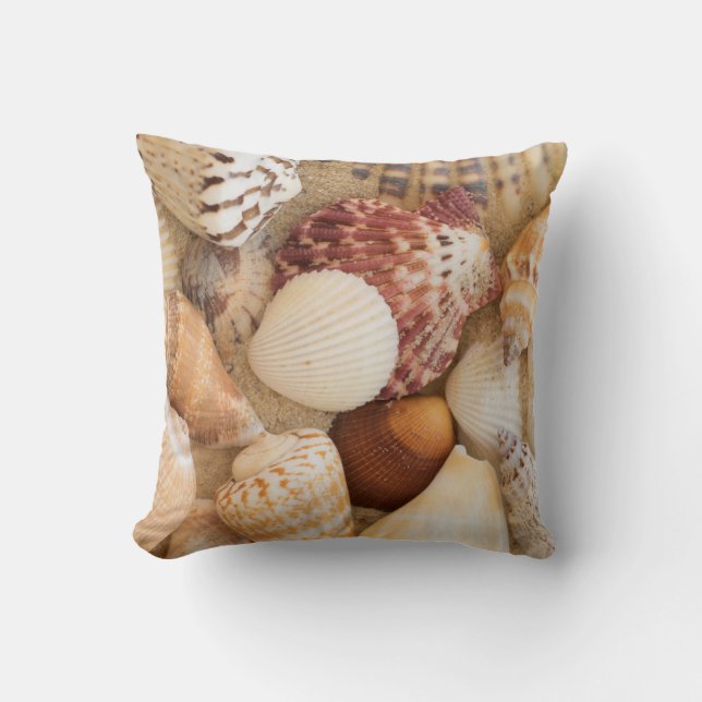 Coussin Disposition de coquillage (Recto)