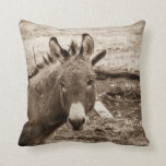 Coussin Donkey<br><div class="desc">Un petit âne debout dans un corral sur un ranch à cheval situé à Celina Texas</div>
