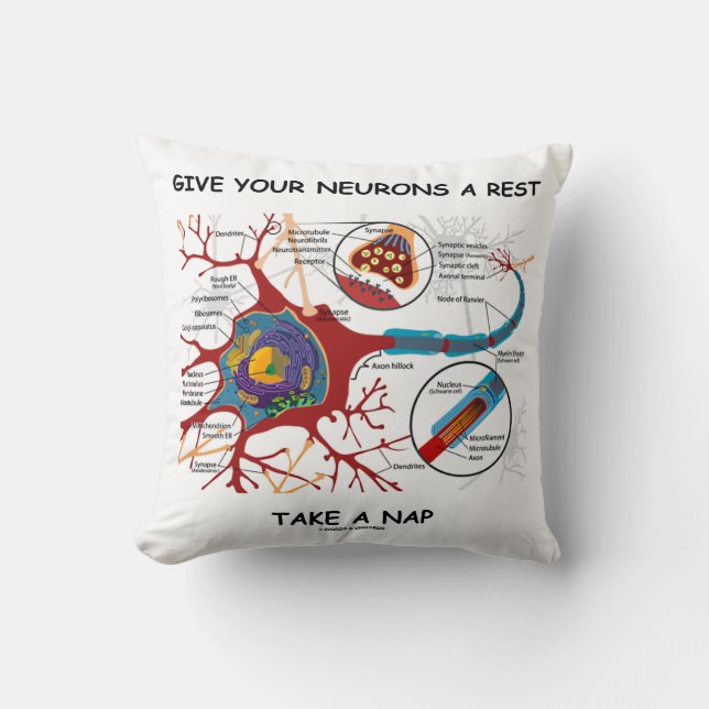 Coussin Donnez À Vos Neurones Un Repos Prenez Nap Neuron S (Recto)