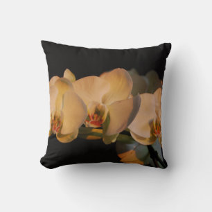 coussin d'orchidées couché de soleil