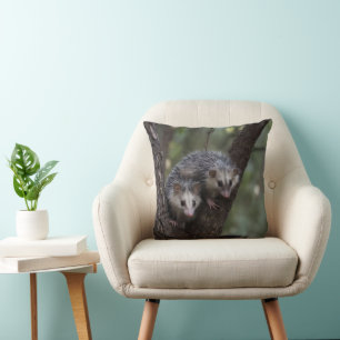 Coussin Double difficulté dans la canopée : Sommes jumelle