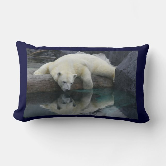 Coussin d'ours blanc (Recto)
