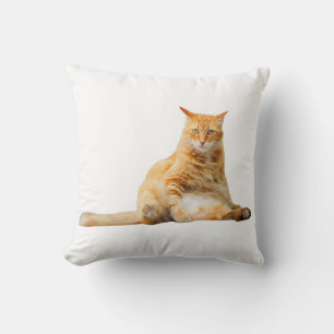Coussin doux avec chat orange mignon