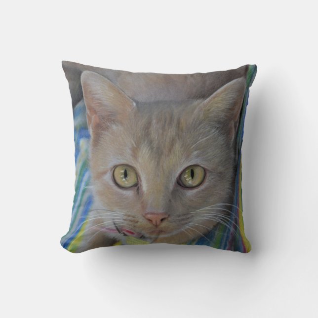 Coussin doux de dessin de chaton (Recto)
