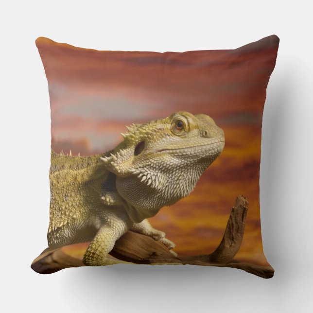Coussin Dragon barbu (Pogona Vitticeps) sur la branche, (Recto)