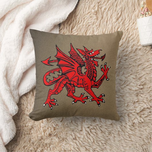 Coussin Dragon d'Oreiller (Couverture)
