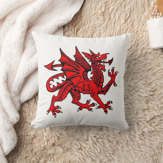 Coussin Dragon d'Oreiller (Couverture)