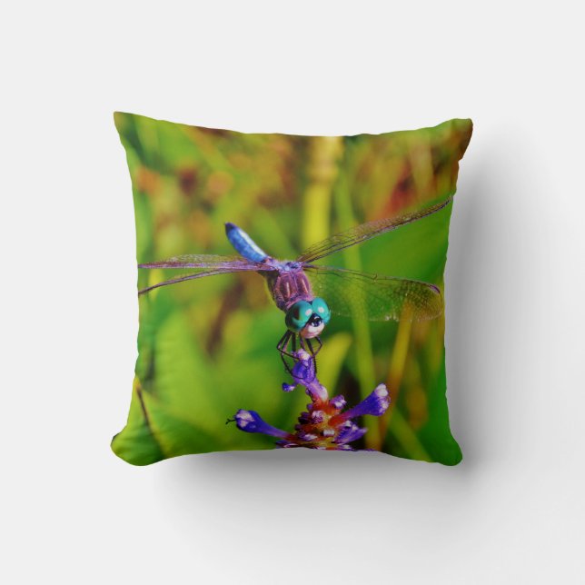 Coussin Dragonfly (Recto)
