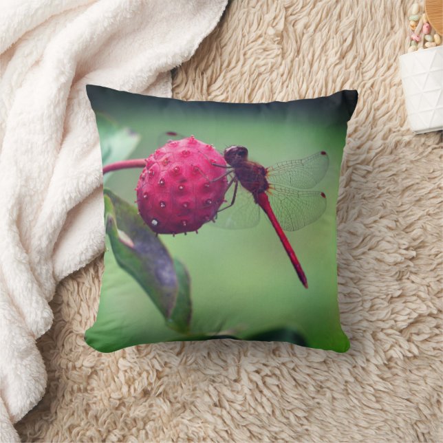 Coussin Dragonfly rouge sur les fruits de bois de chien Fe (Couverture)