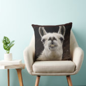 Coussin Drame de lama – Je t'ai à l'œil (Chaise)