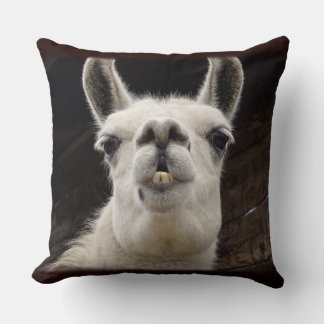 Coussin Drame de lama – Je t'ai à l'œil