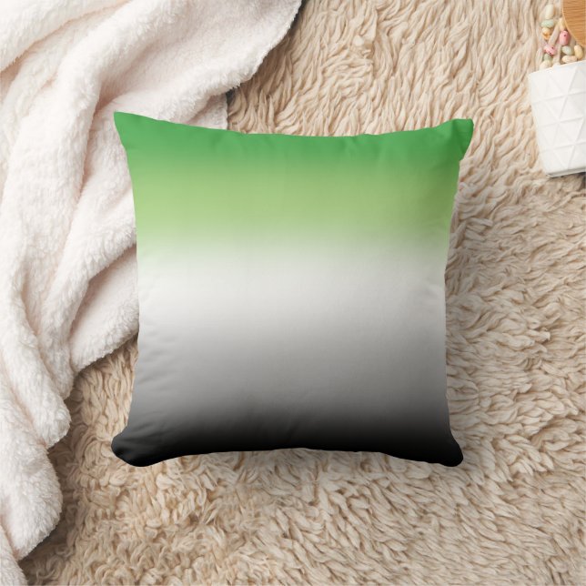 Coussin Drapeau Aromantique à dégradé - Fierté Aromantique (Couverture)