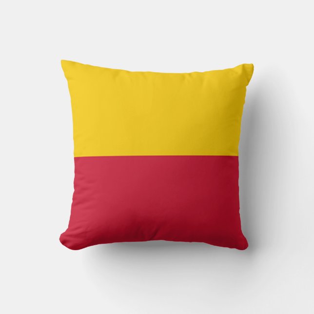 Coussin Drapeau de Schagen (Recto)