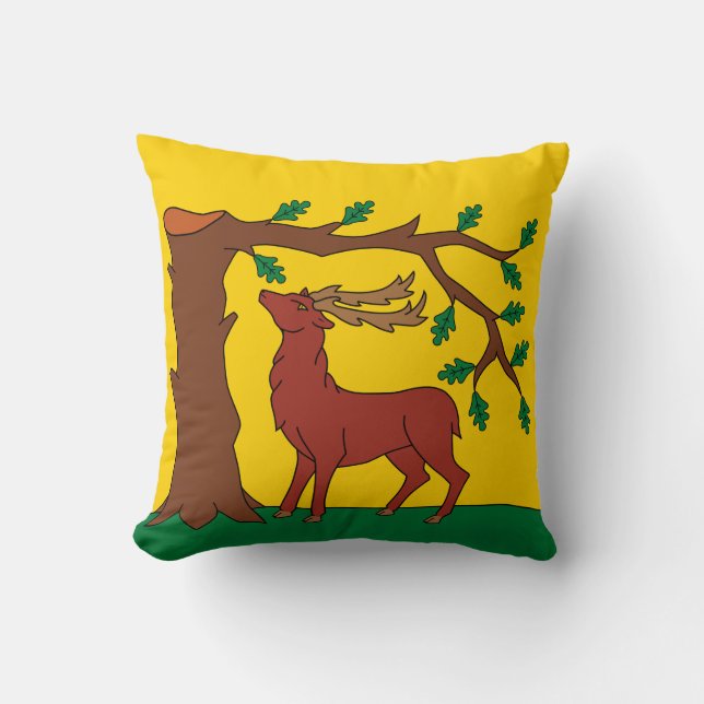 Coussin Drapeau du comté historique de Berkshire Throw Pil (Recto)