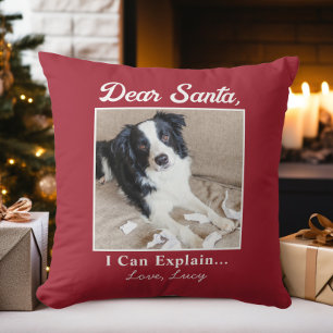 Coussin Drôle de lettre au Père Noël avec chien et chat po