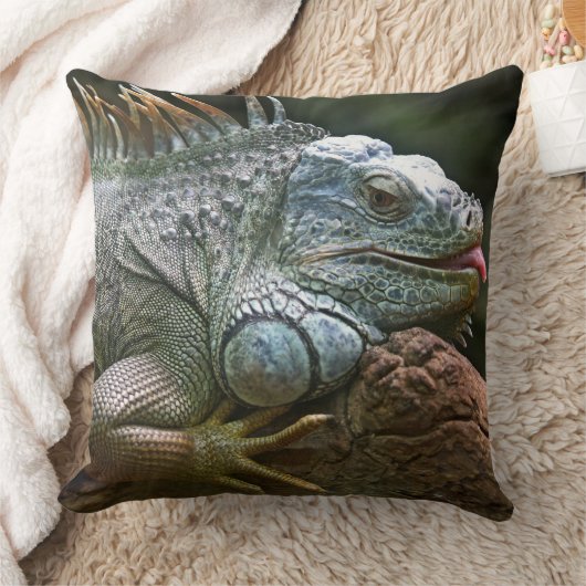 Coussin Drôle Iguana (Couverture)