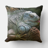 Coussin Drôle Iguana (Recto)