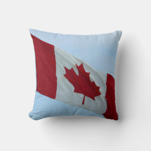 coussin du drapeau du pays