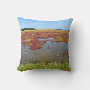 Coussin du marais de Hammonasset
