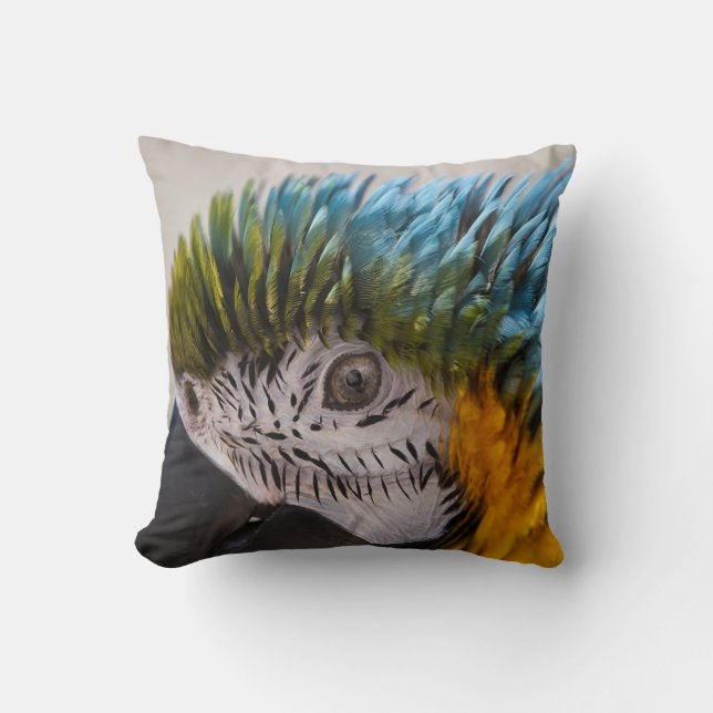Coussin du portrait de Macaw Parrot (Recto)