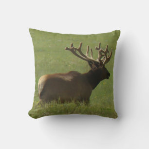 Coussin E12 Élan mâle en velours 1 ou 2 ?