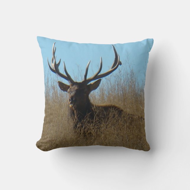 Coussin E26 Taureau couché dans les mauvaises herbes (Recto)