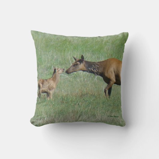 Coussin E3 Elk de vache et de veau Nez au nez (Recto)