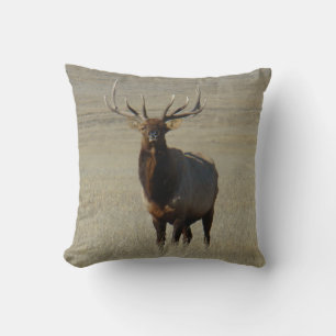 Coussin E59 Bull Elk