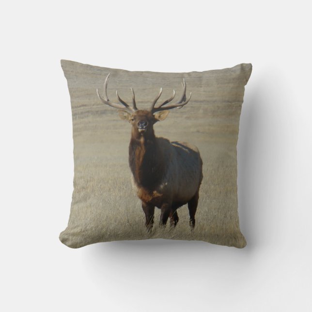 Coussin E59 Bull Elk (Recto)