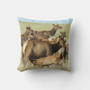 Coussin E7 Vache Wapiti Allaitant un Veau